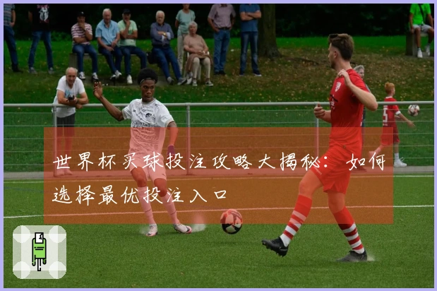 世界杯买球投注攻略大揭秘：如何选择最优投注入口