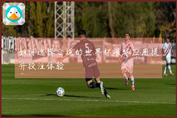 如何选择合适的世界杯滚球应用提升投注体验