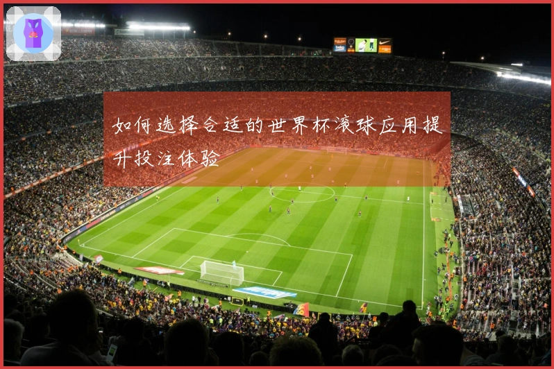 如何选择合适的世界杯滚球应用提升投注体验