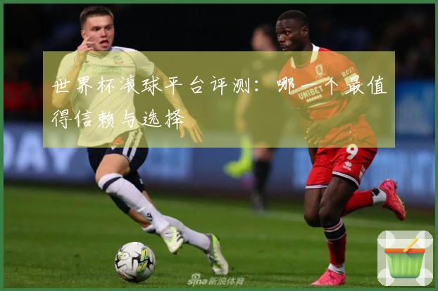 世界杯滚球平台评测：哪一个最值得信赖与选择