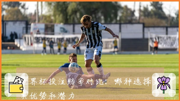 世界杯投注赔率对比：哪种选择更具优势和潜力