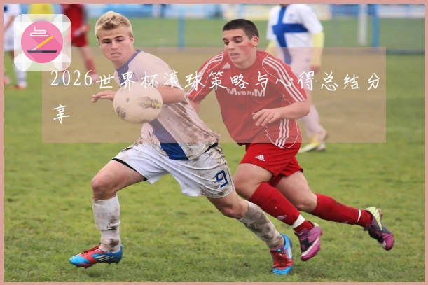 2026世界杯滚球策略与心得总结分享